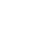 ico-eur